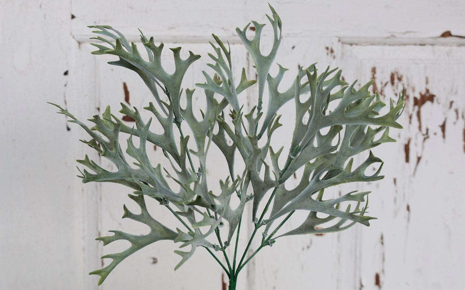 Künstlicher Geweihfarn, 35 cm, grün-grau Künstlicher Geweihfarn, 35 cm, grün-grau