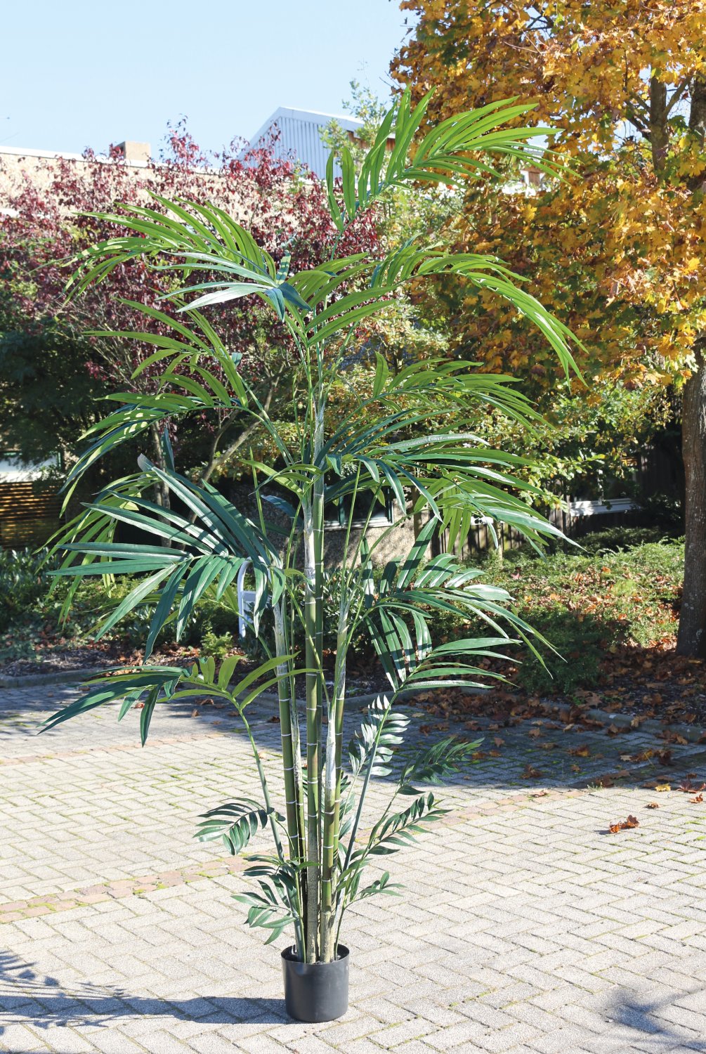 Künstliche Kentia-Palme, getopft, 270 cm, grün