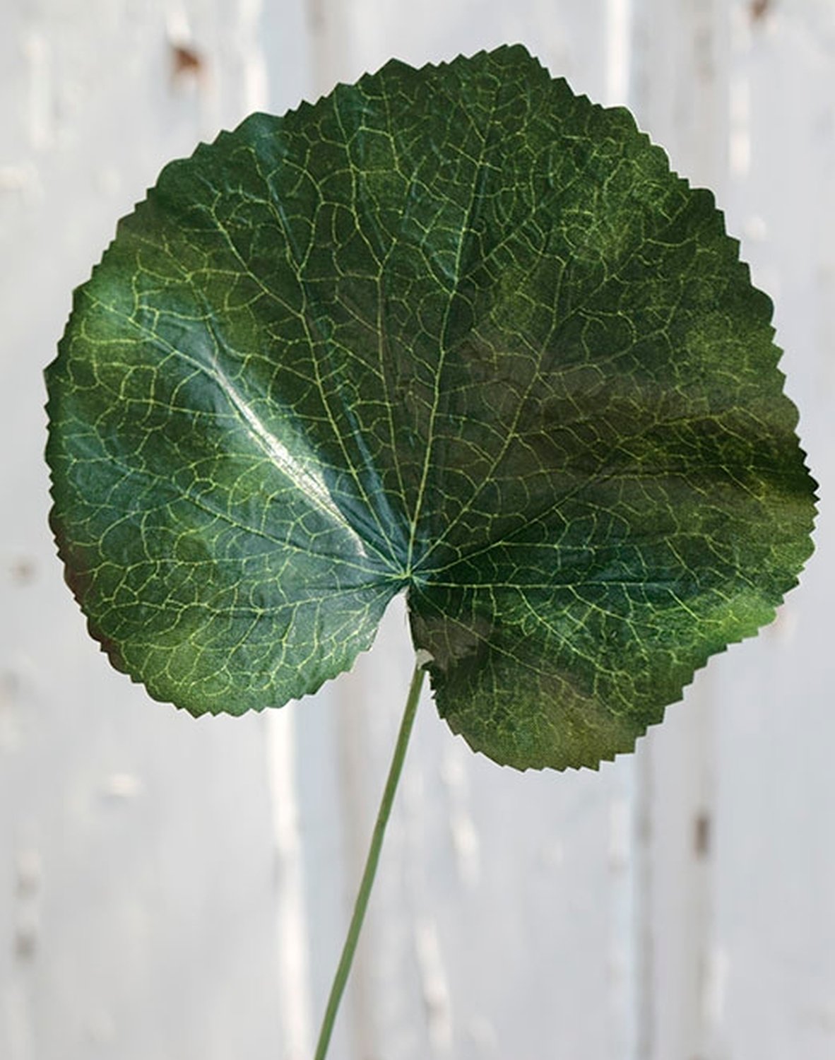 Foglia di geranio artificiale, 45 cm, verde