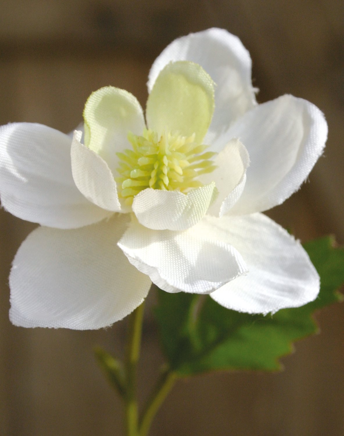 Granny's bonnet silk flower, 99 cm, beige-white