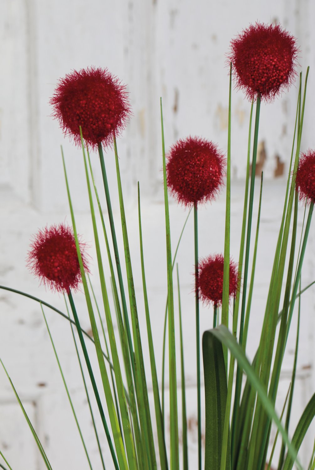 Künstliche Kugelgras, 75 cm, rot