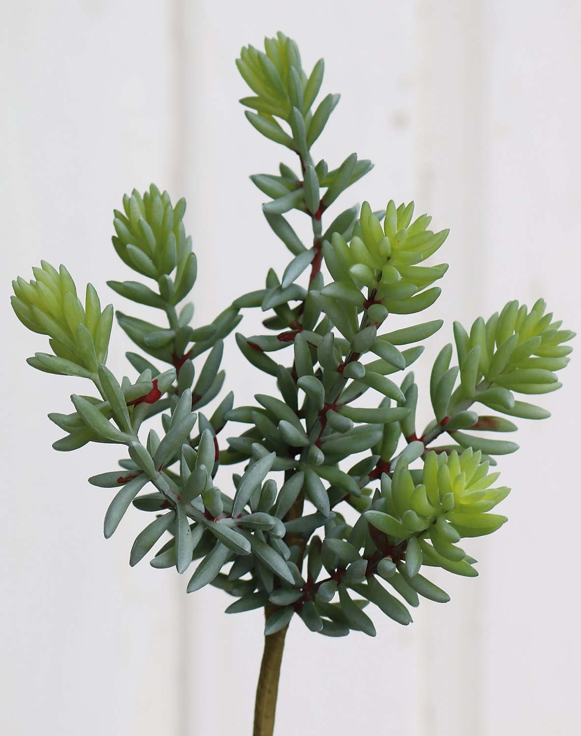 Succulent fake plants on stick, 20 cm, green