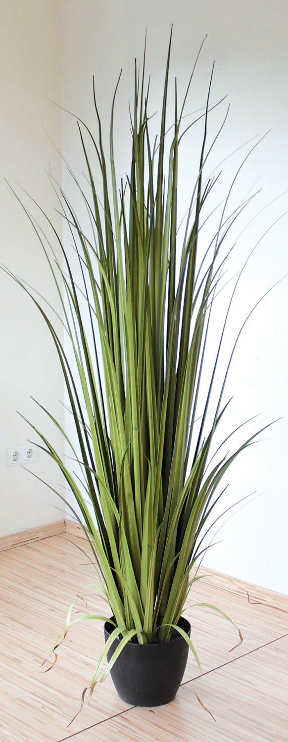 Ciuffo d'erba artificiale, in vaso, 180 cm, verde