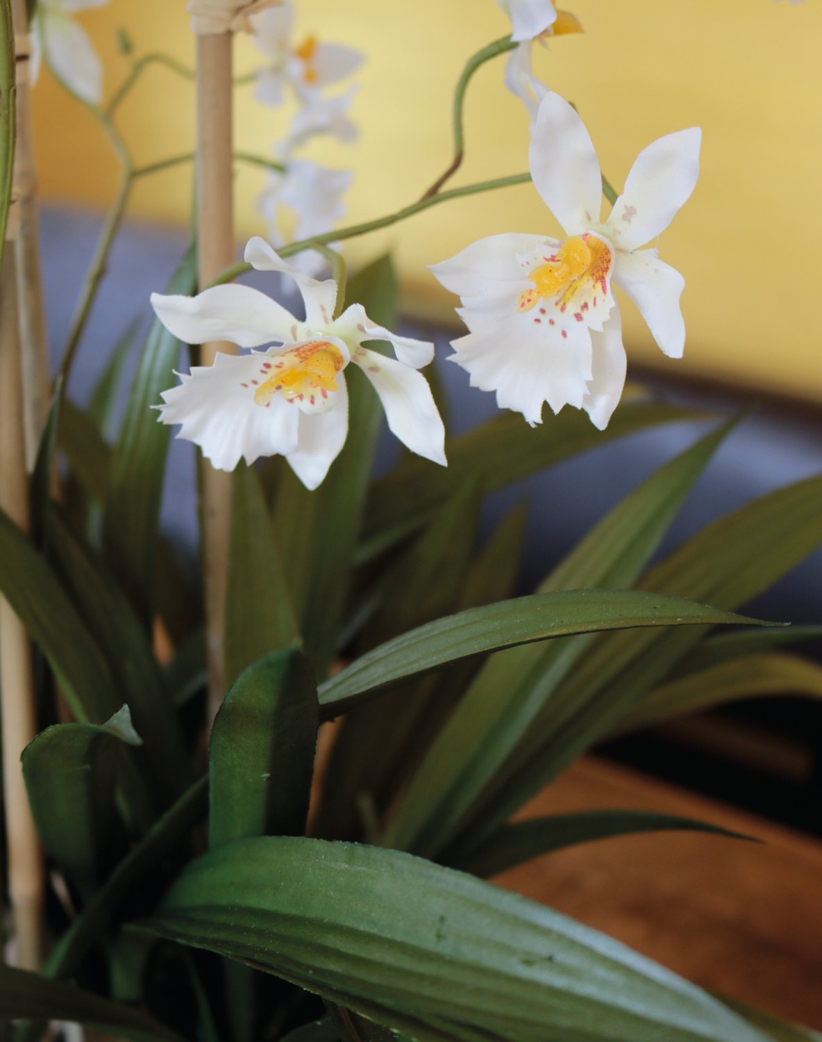 Künstliche Orchidee Oncidium in 'Erde', 2-fach, 66 cm, creme-weiß