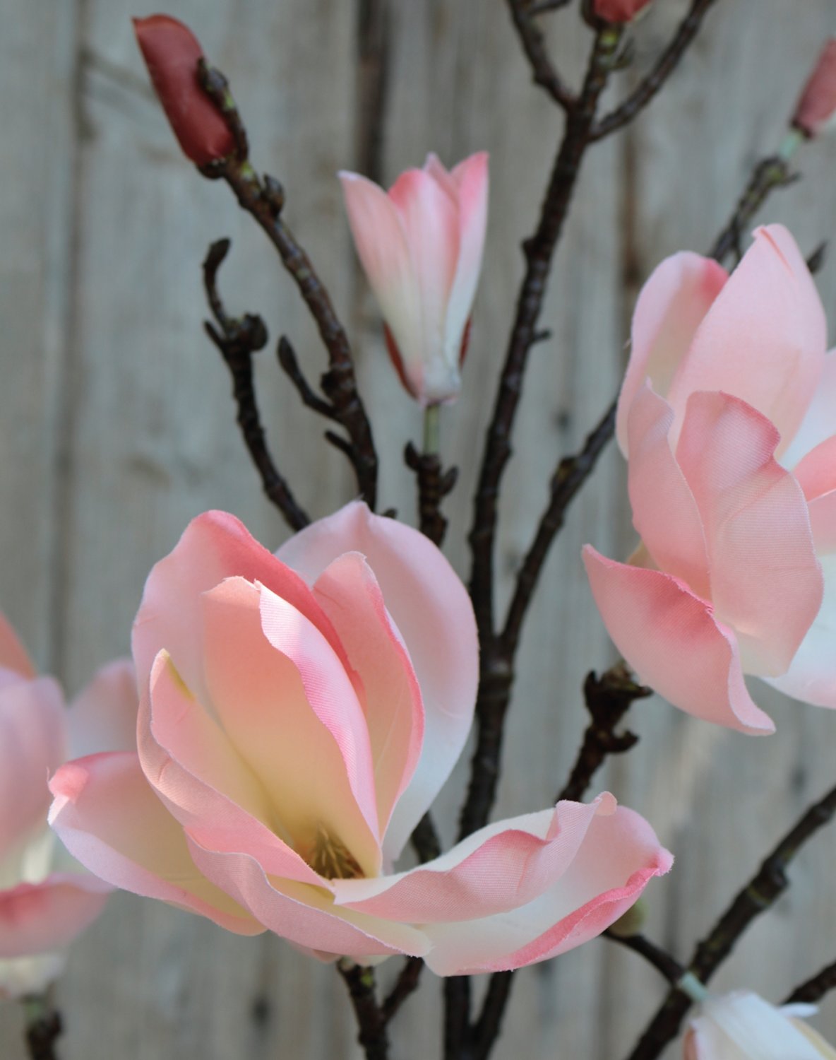 Silk magnolia flower spray, 129 cm, apricot