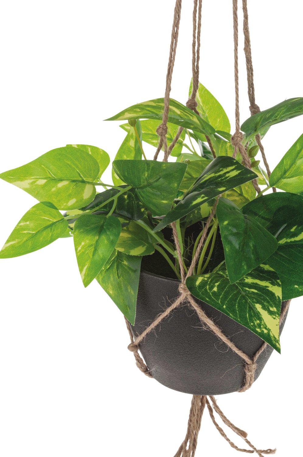 Artificial pothos in hanging pot, 62 cm, green