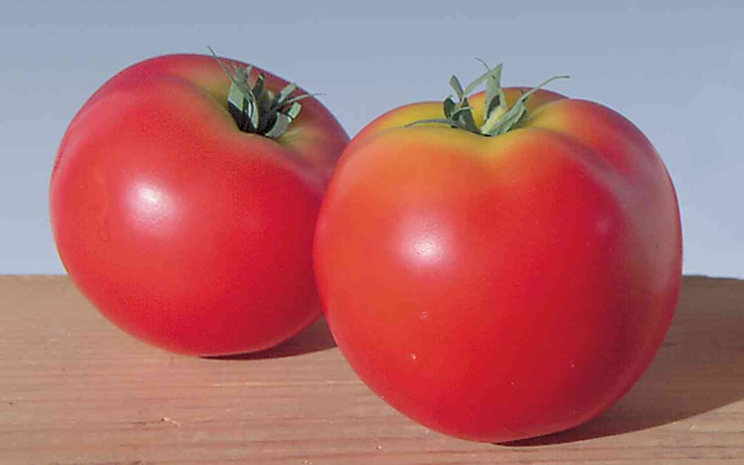 Künstliche Tomate, 6 cm, rot