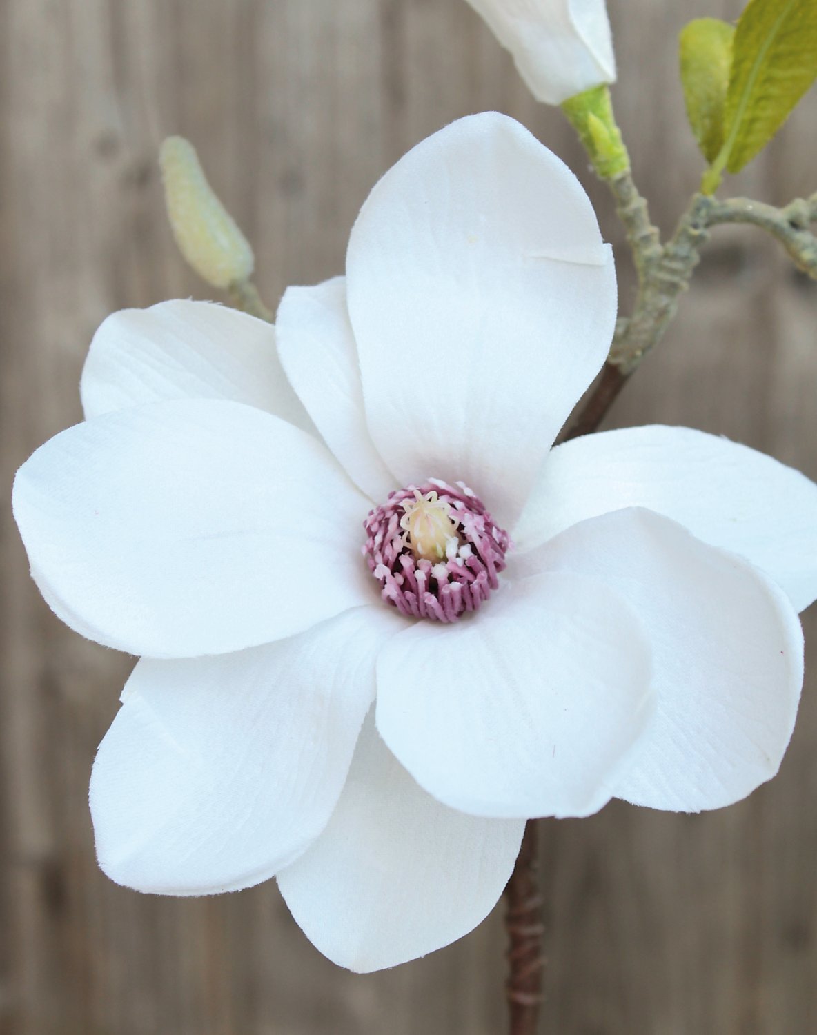 Magnolia faux flowers spray, 36 cm, beige-white