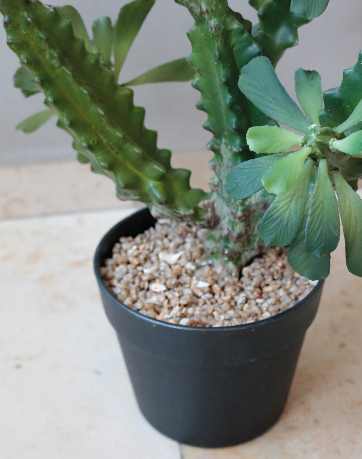 Künstliche Euphorbia trigona, getopft, 63 cm, grün