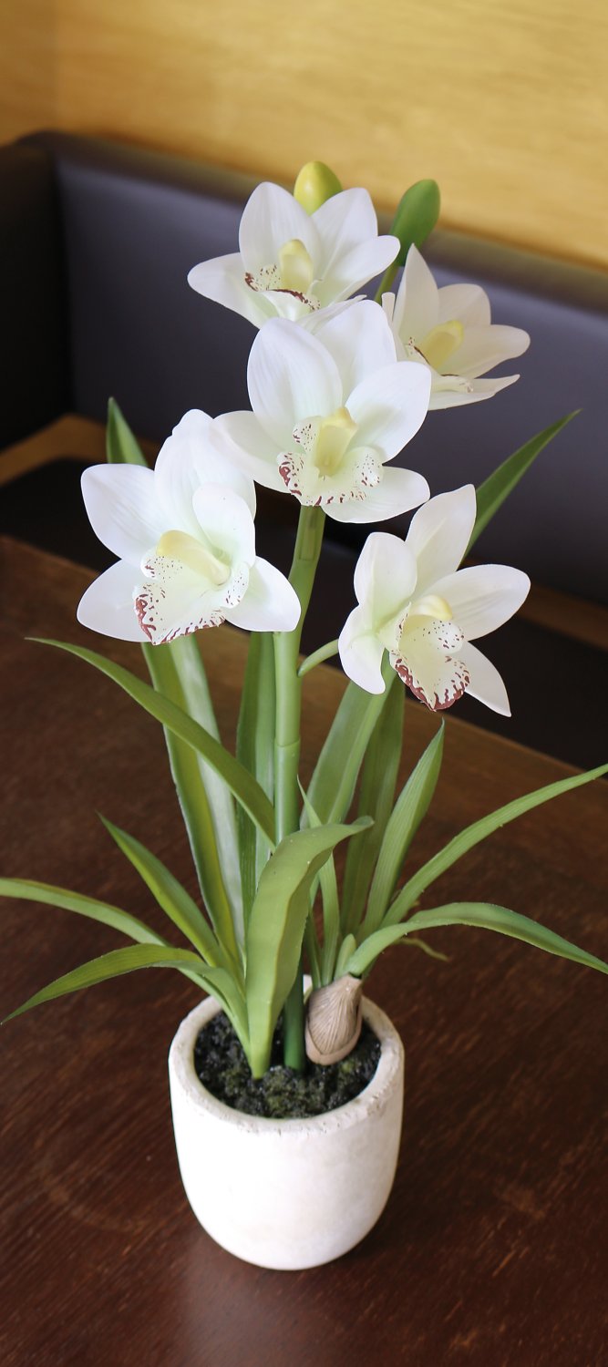 Plastic orchid cymbidium, potted, 51 cm, real touch soft, beige-white