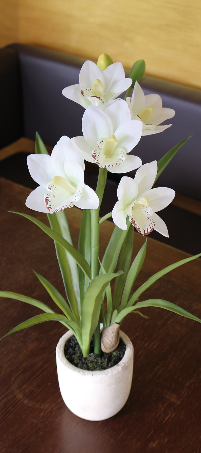 Orchidea Cymbidium artificiale, in vaso, 51 cm, Real Touch Soft, bianco-crema