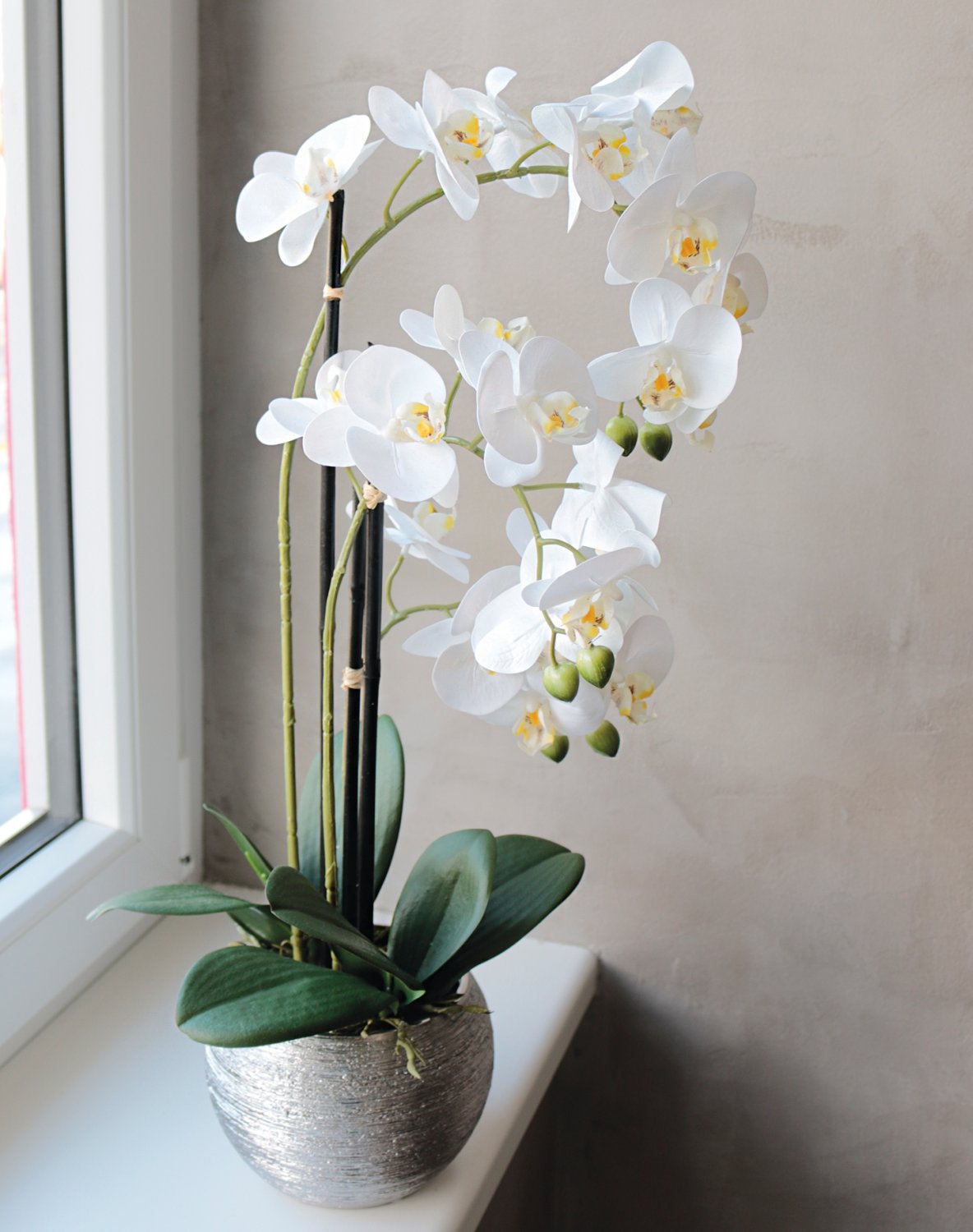 Künstliche Orchidee Phalaenopsis, 3-fach, getopft, 55 cm, Real Touch, creme-weiß Künstliche Orchidee Phalaenopsis, 3-fach, getopft, 55 cm, Real Touch, creme-weiß