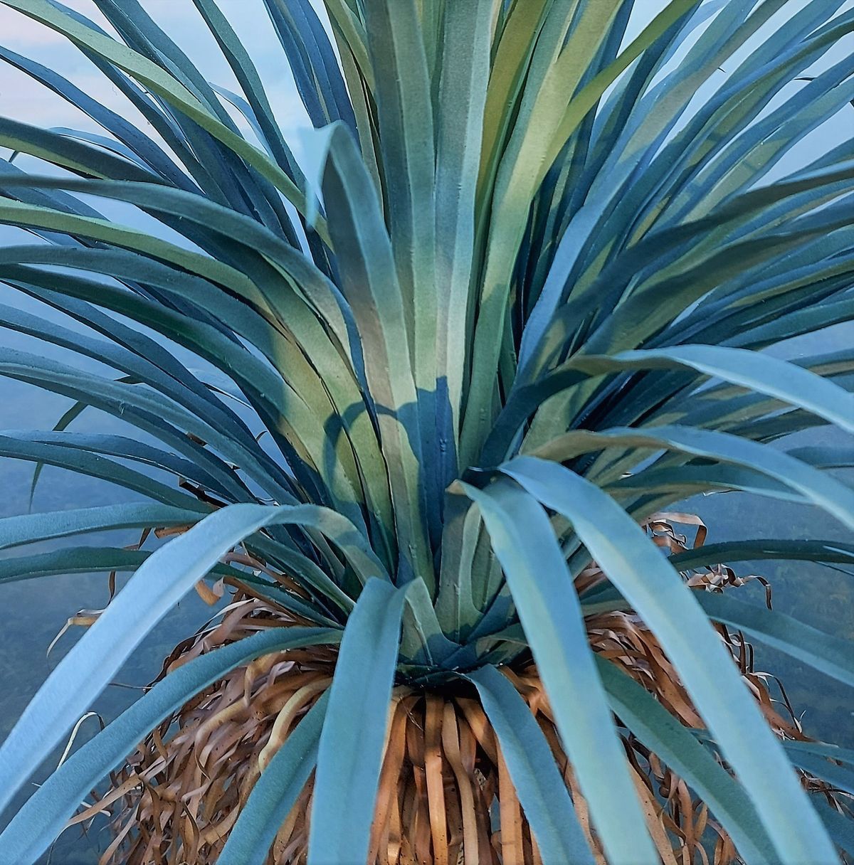 Artificial yucca palm in pot, 160 cm, green-grey