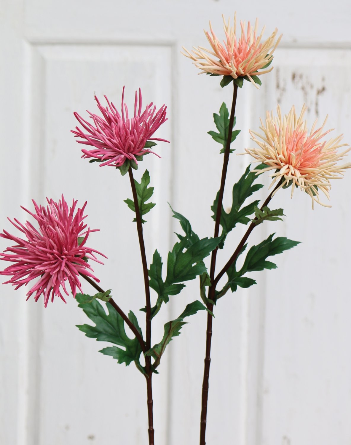 Silk Chrysanthemum, 2-flowers, 72 cm, light pink-dark rose