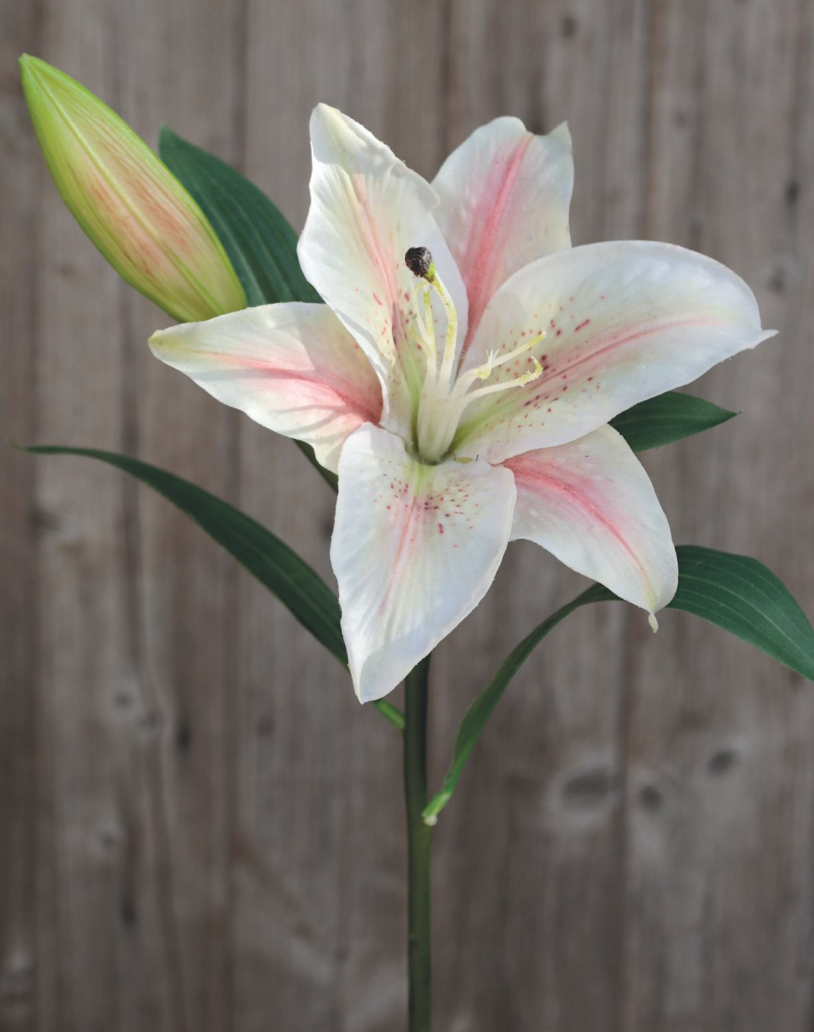 Artificial lily, 45 cm, beige-pink