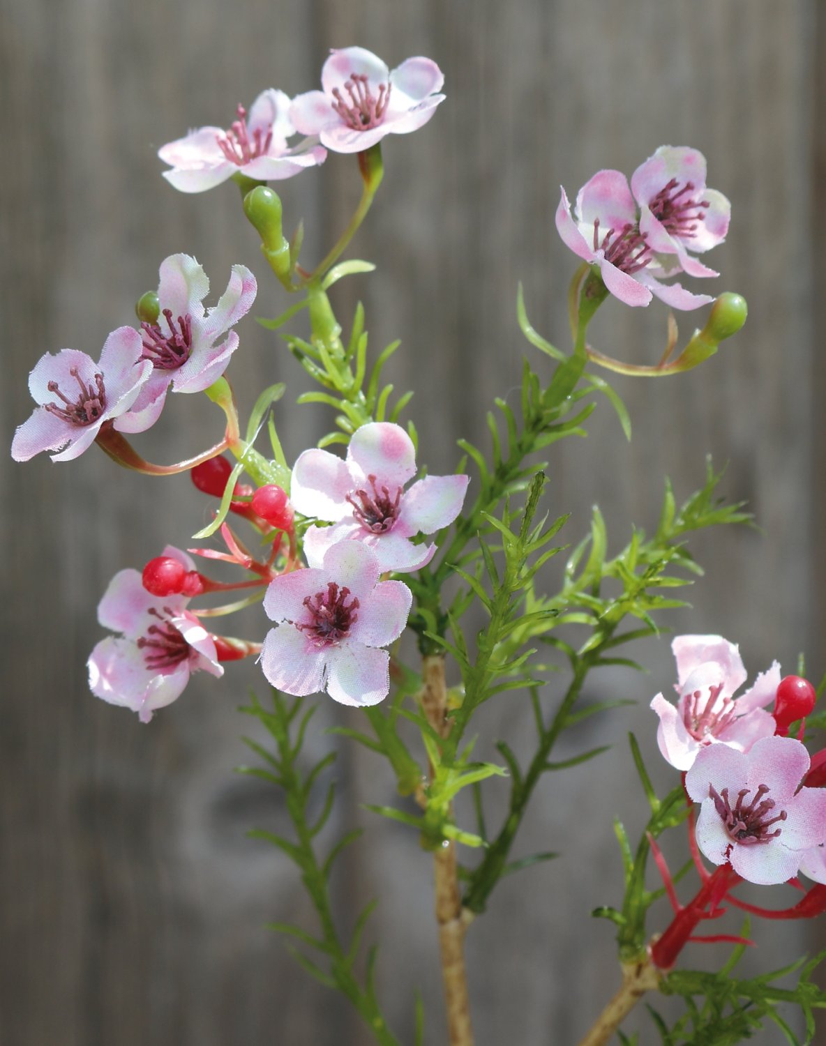 Künstliche Wachsblume, 25 cm, rosa