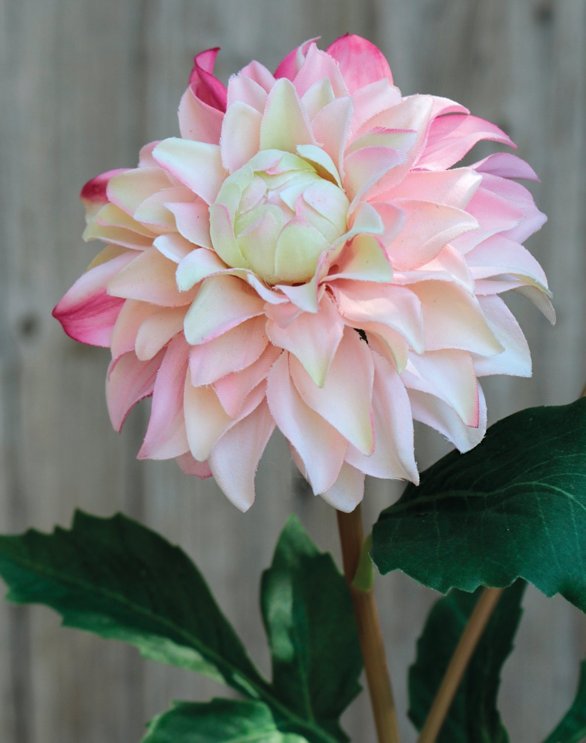 Künstliche Dahlie, 56 cm, aprikose