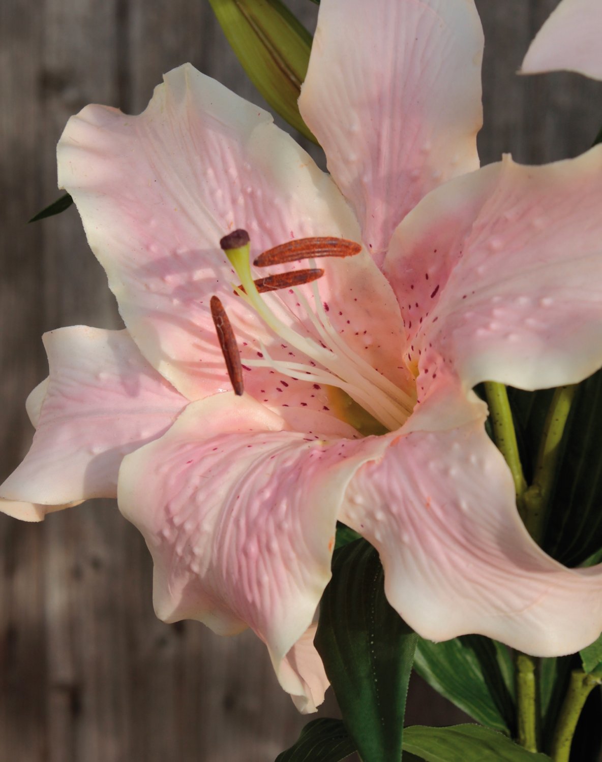 Künstliche Lilie Stargazer, 89cm, Real Touch, hellrosa