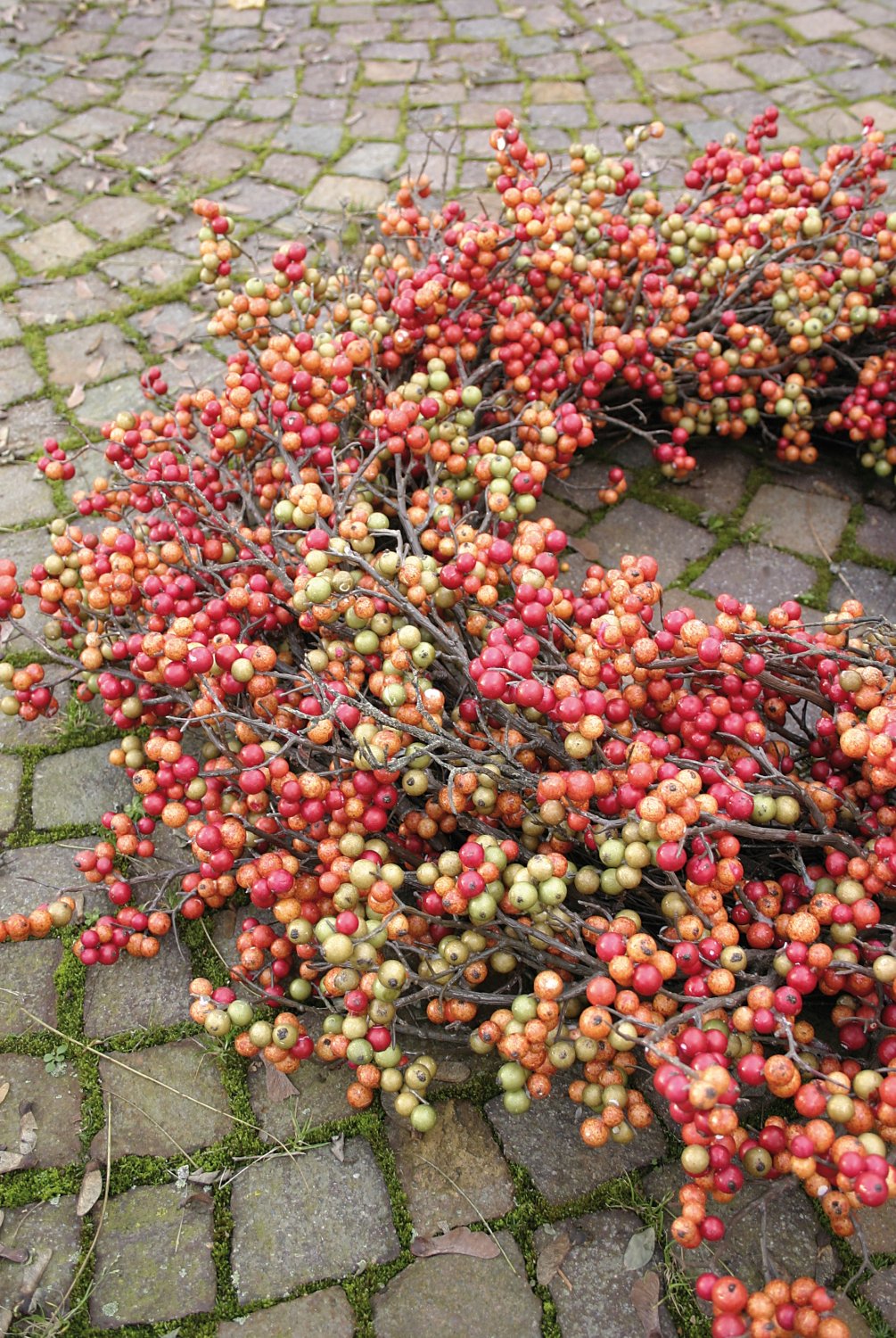 Artificial berries wreath, Ø 90 cm, orange