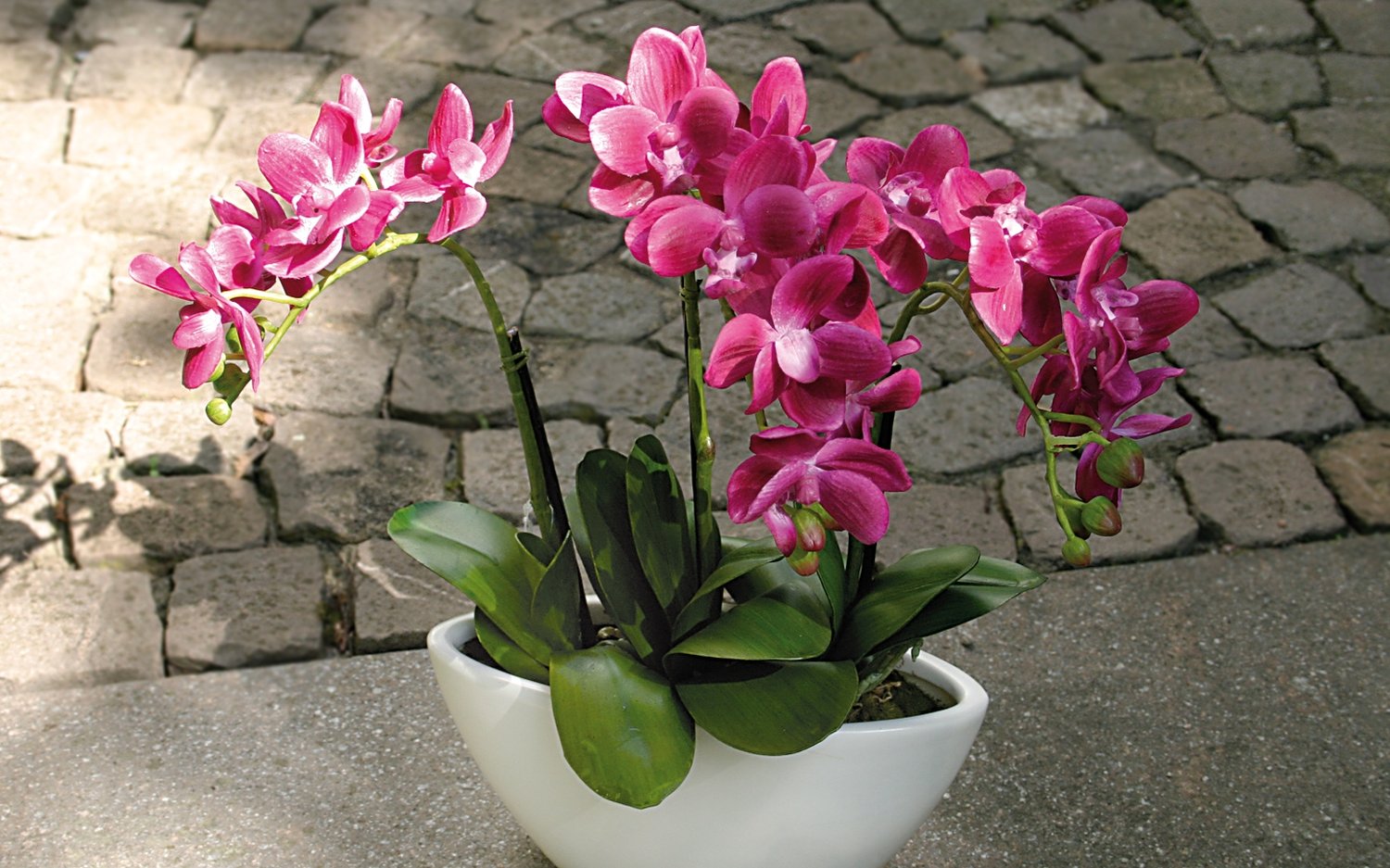 Künstliche Orchidee Phalaenopsis, 3-fach, in Schale, 38 cm, Real Touch, cerise