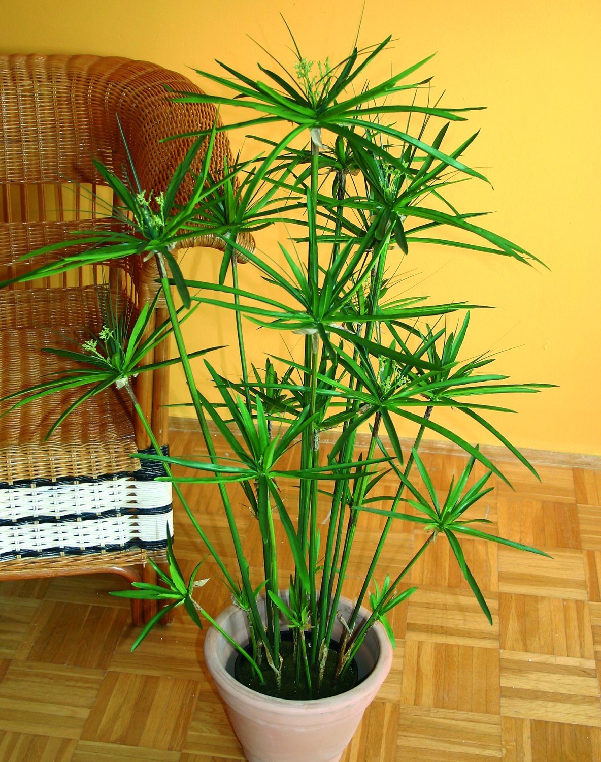 Erba artificiale di cyperus, in vaso, 105 cm, verde