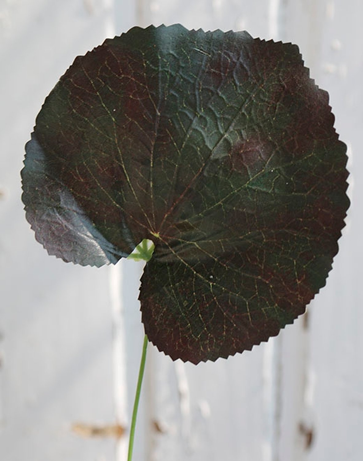 Plastic geranium leaf, 45 cm, green-red