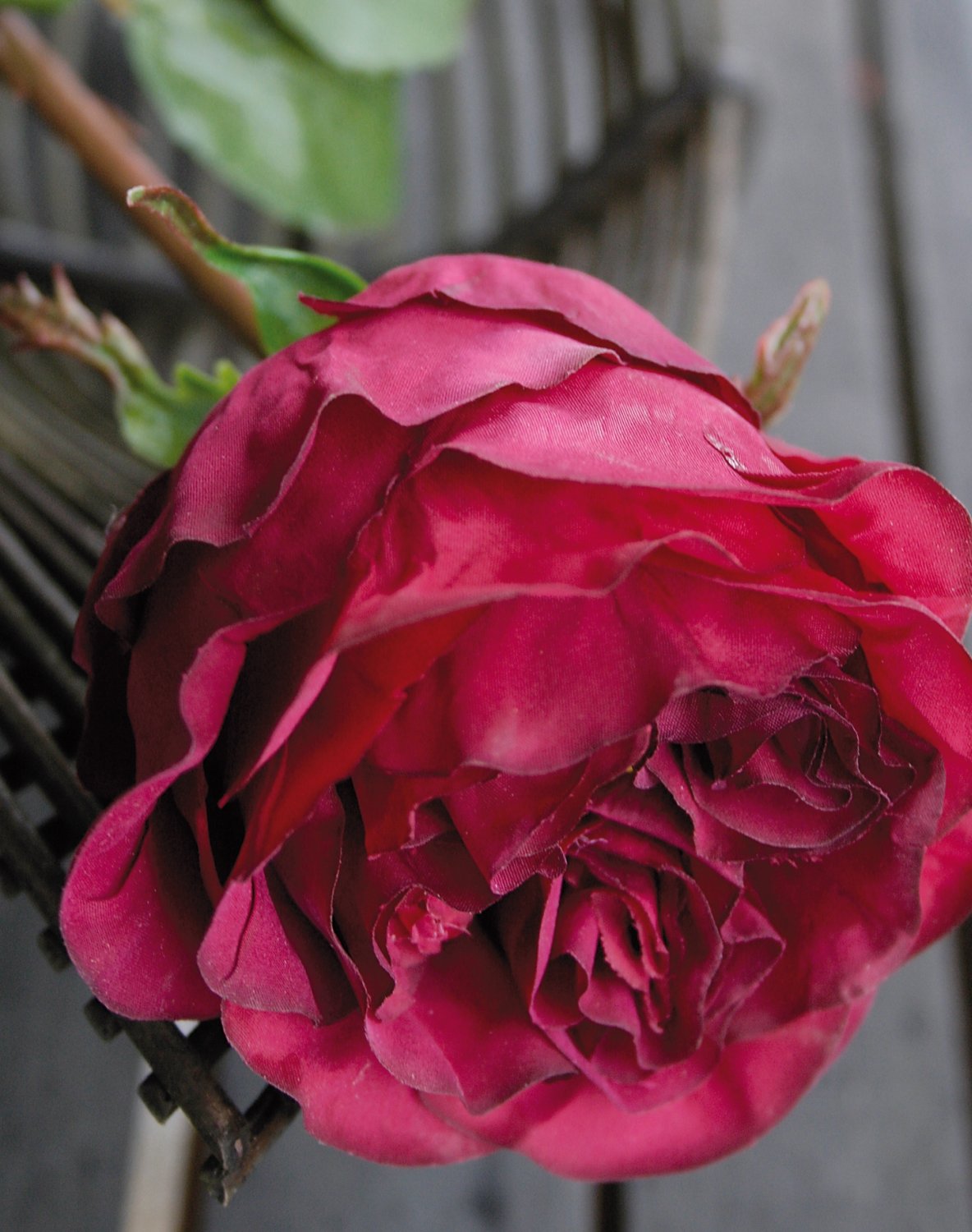 Rosa artificiale Duchesse, 52 cm, rosso scuro-antico