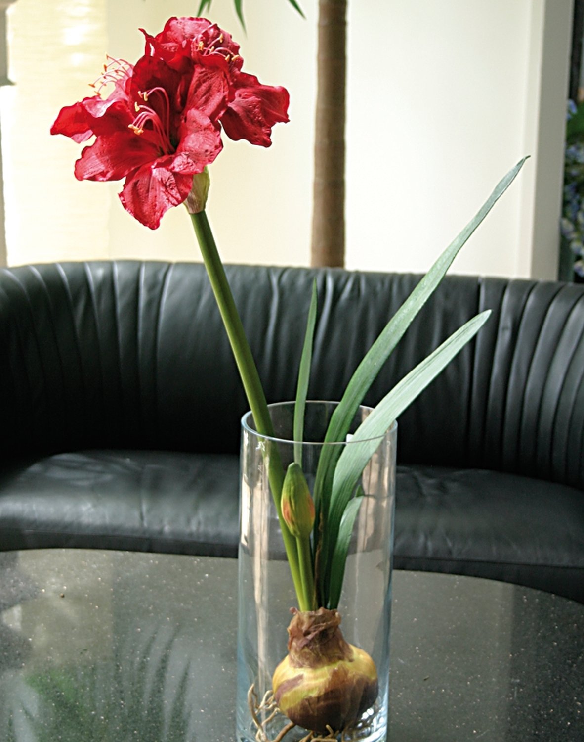 Künstliche Amaryllis mit Zwiebel, 80 cm, rot