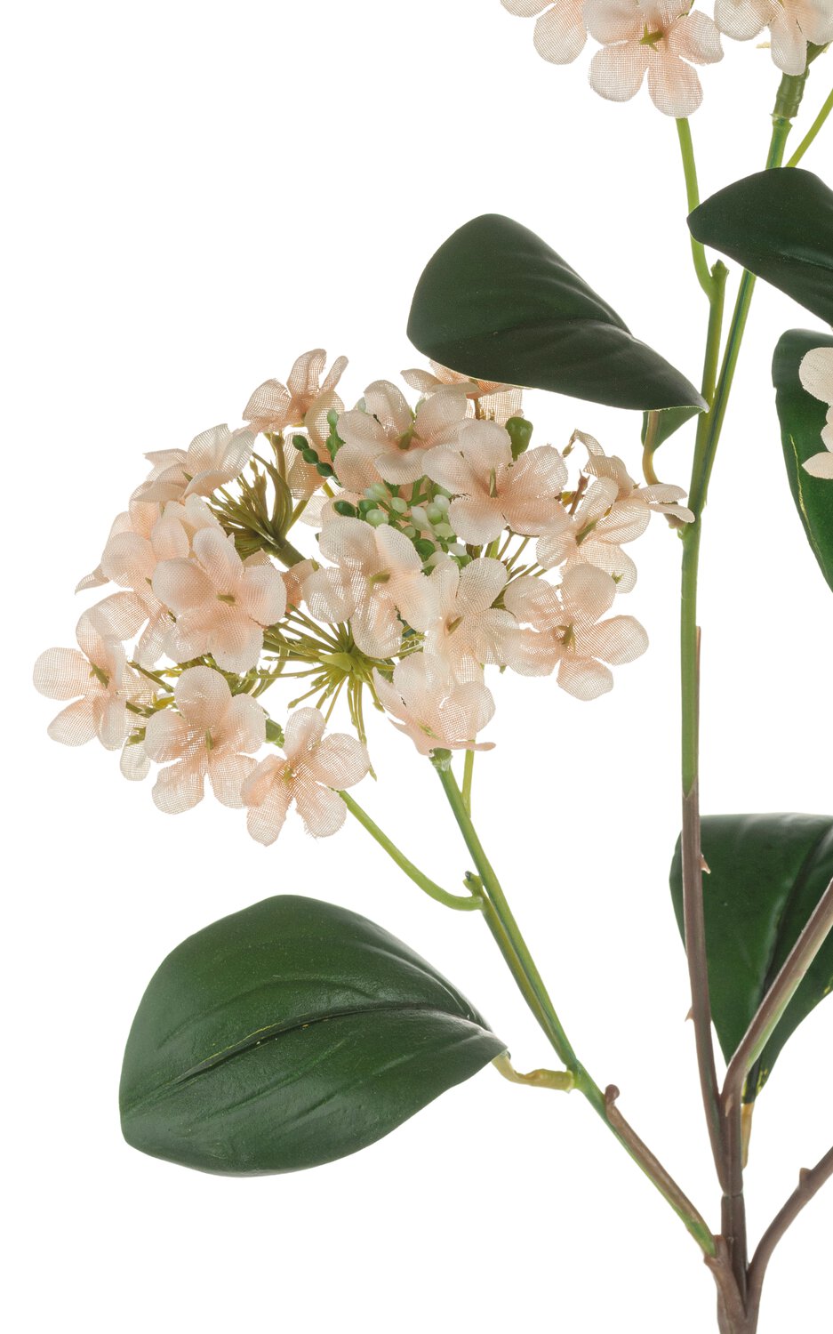 Fake virburnum, 69 cm, apricot