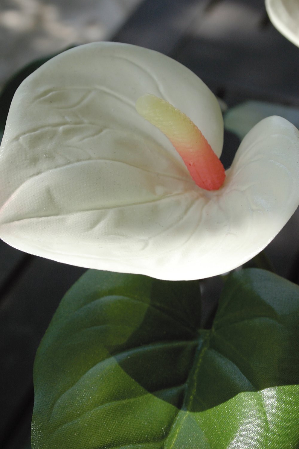 Künstliche Anthurium, getopft, 39 cm, weiß-rosa