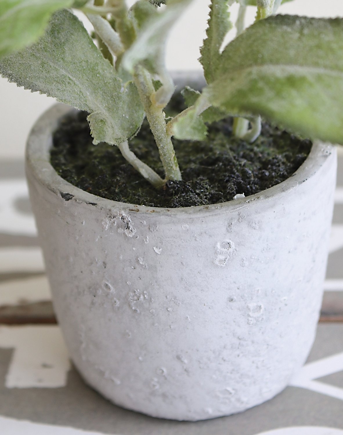 Salvia artificiale, in vaso, 17 cm, verde