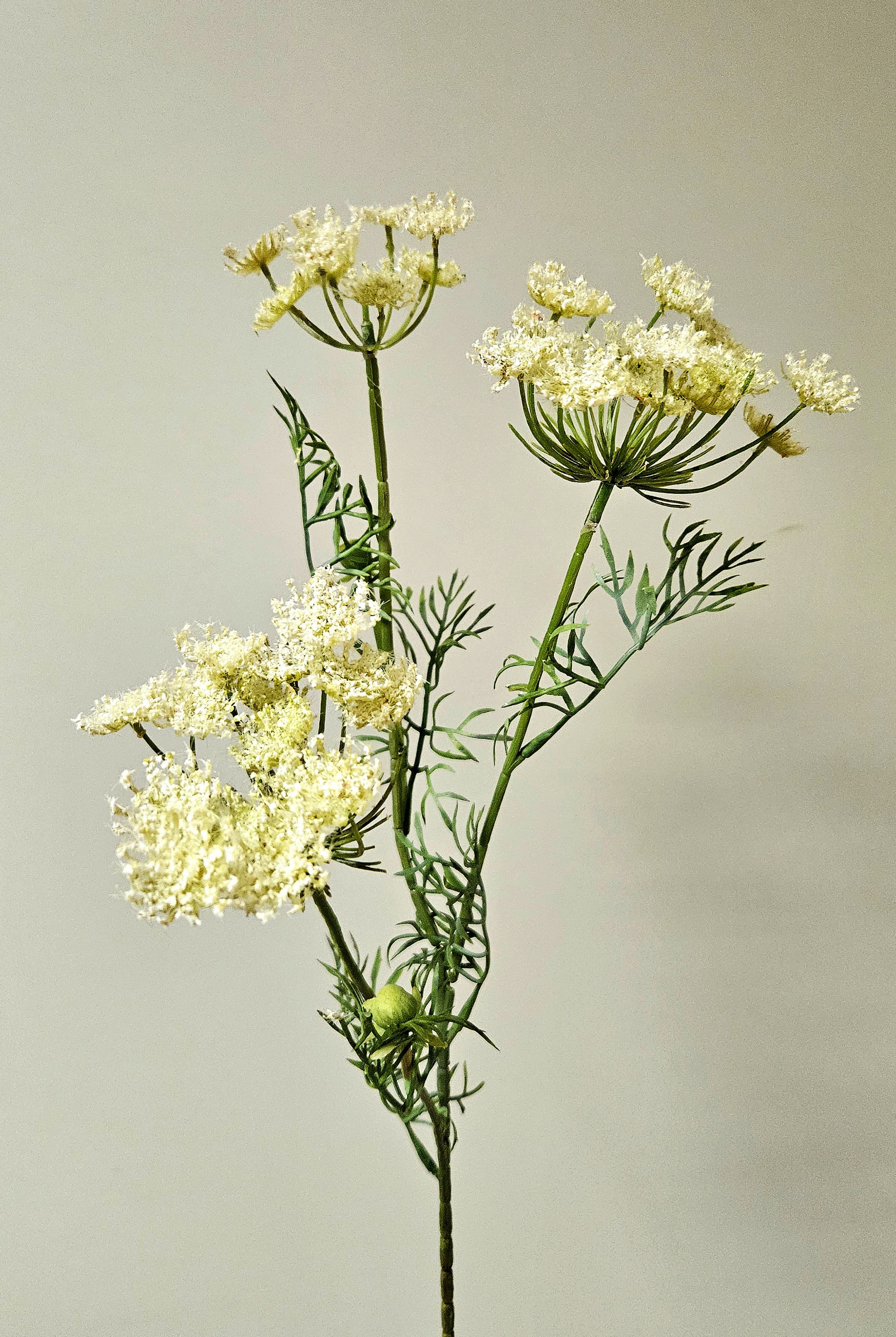 Künstliche Schafgarbe, Staude, 71 cm, pur weiß