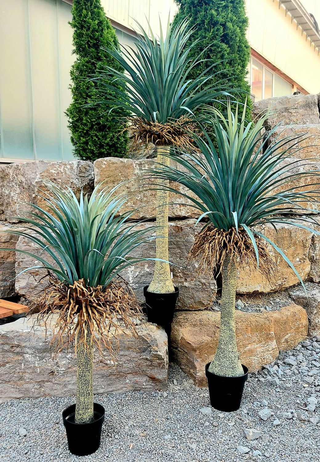 Artificial yucca palm in pot, 160 cm, green-grey