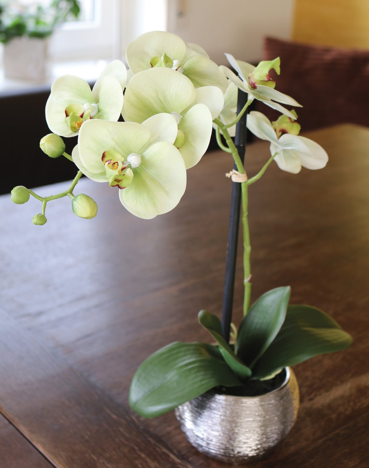 Orquídea de imitación Phalaenopsis, en maceta, 45 cm, tacto real suave, verde crema Orquídea de imitación Phalaenopsis, en maceta, 45 cm, tacto real suave, verde crema