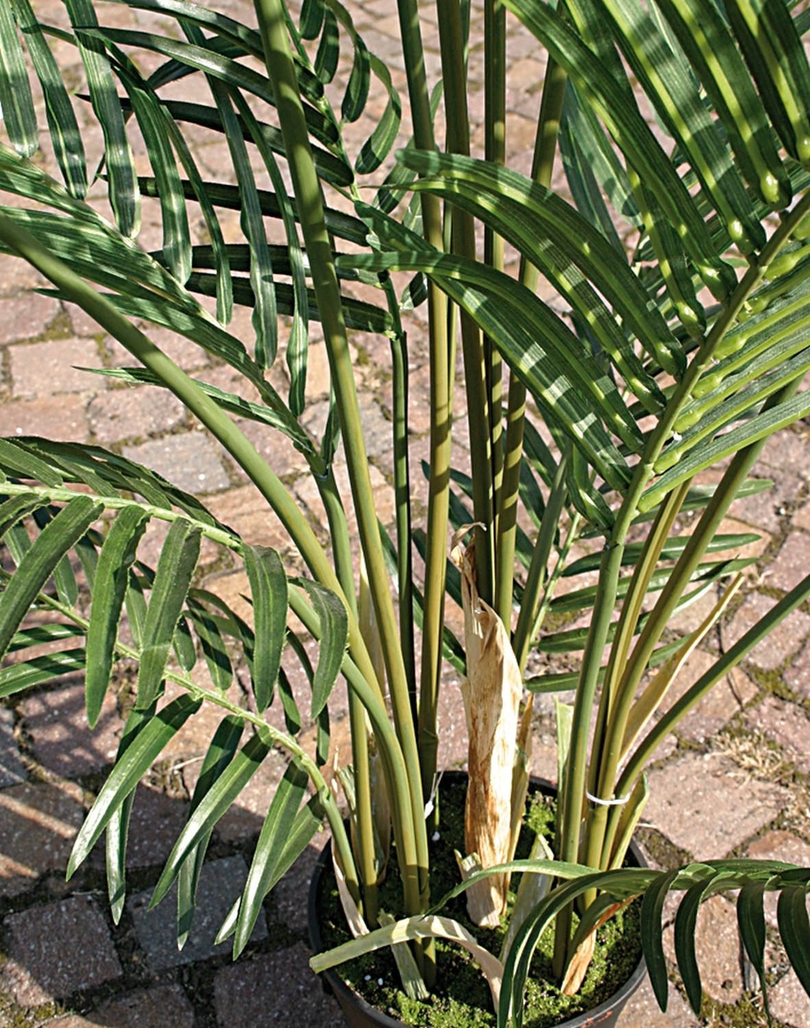 Artificial areca palm tree, potted, 150 cm, green