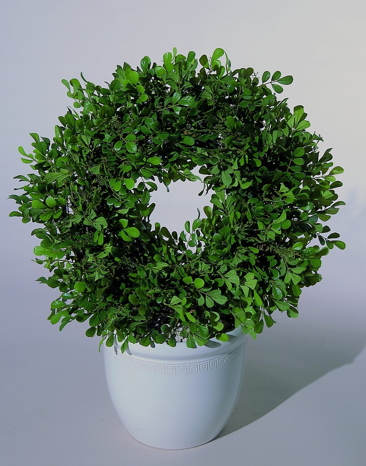 Künstlicher Buchsbaumkranz auf Stab, Ø 50 cm, 65 cm, grün