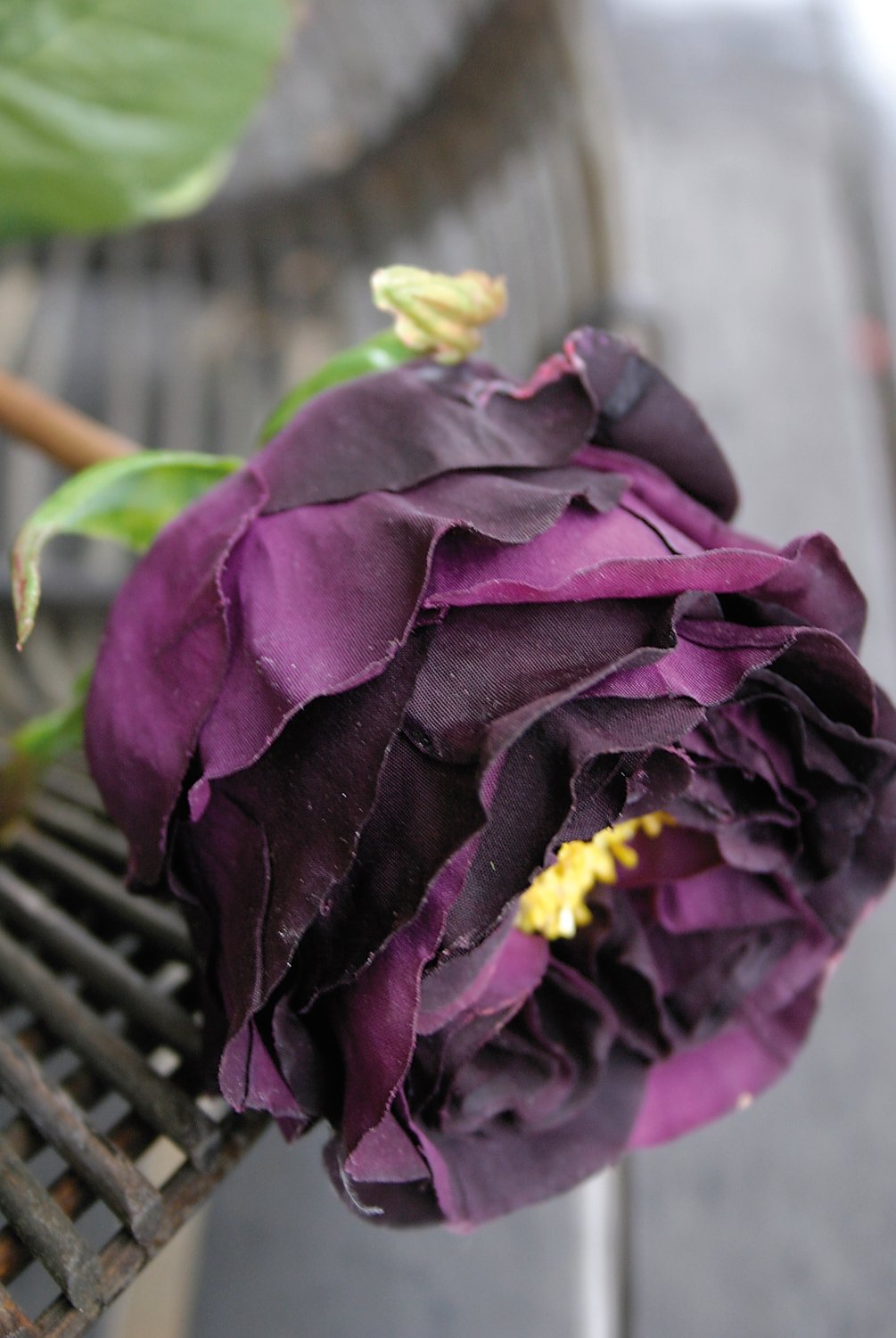 Rosa artificiale Duchesse, 52 cm, viola scuro-antico