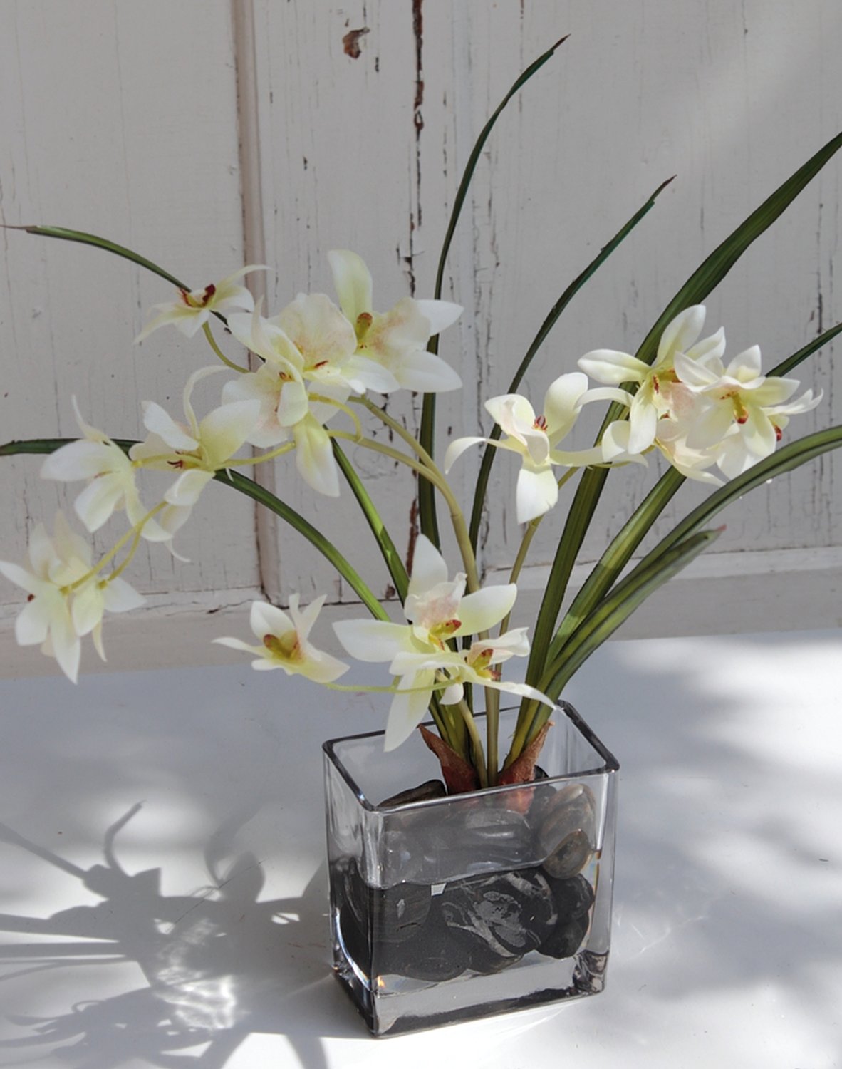 Lot 6 Plateaux Semis 72 Cellules Avec Couvercles Transparents - Kit Démarrage Jardinage