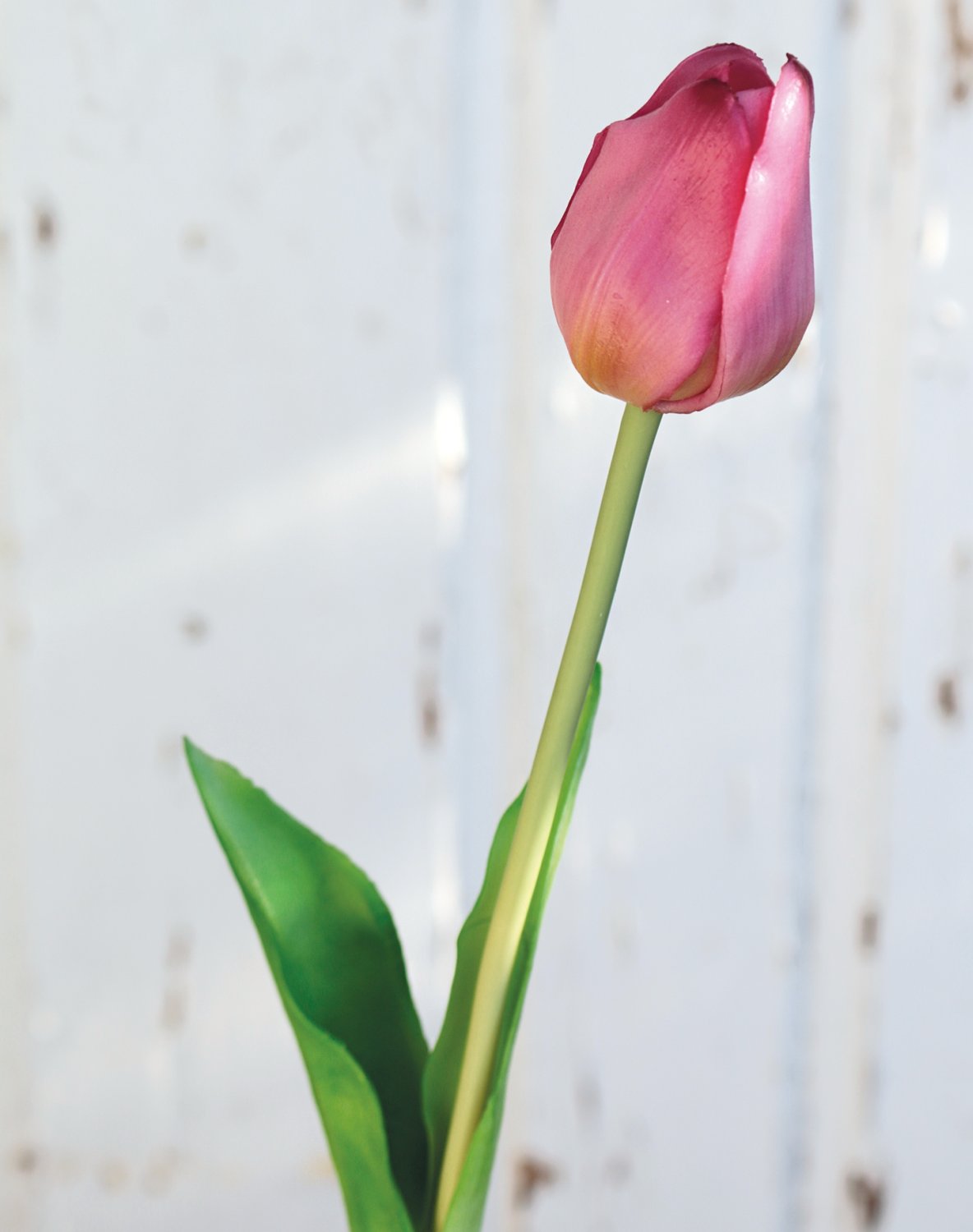 Künstliche Tulpe, französisch, 47 cm, Real Touch, hellviolett