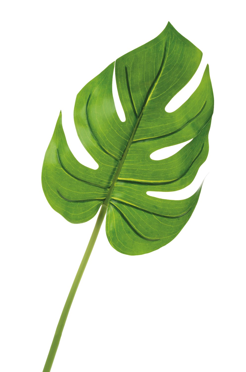 Foglia artificiale di monstera, 56 cm (foglia 25 cm), verde