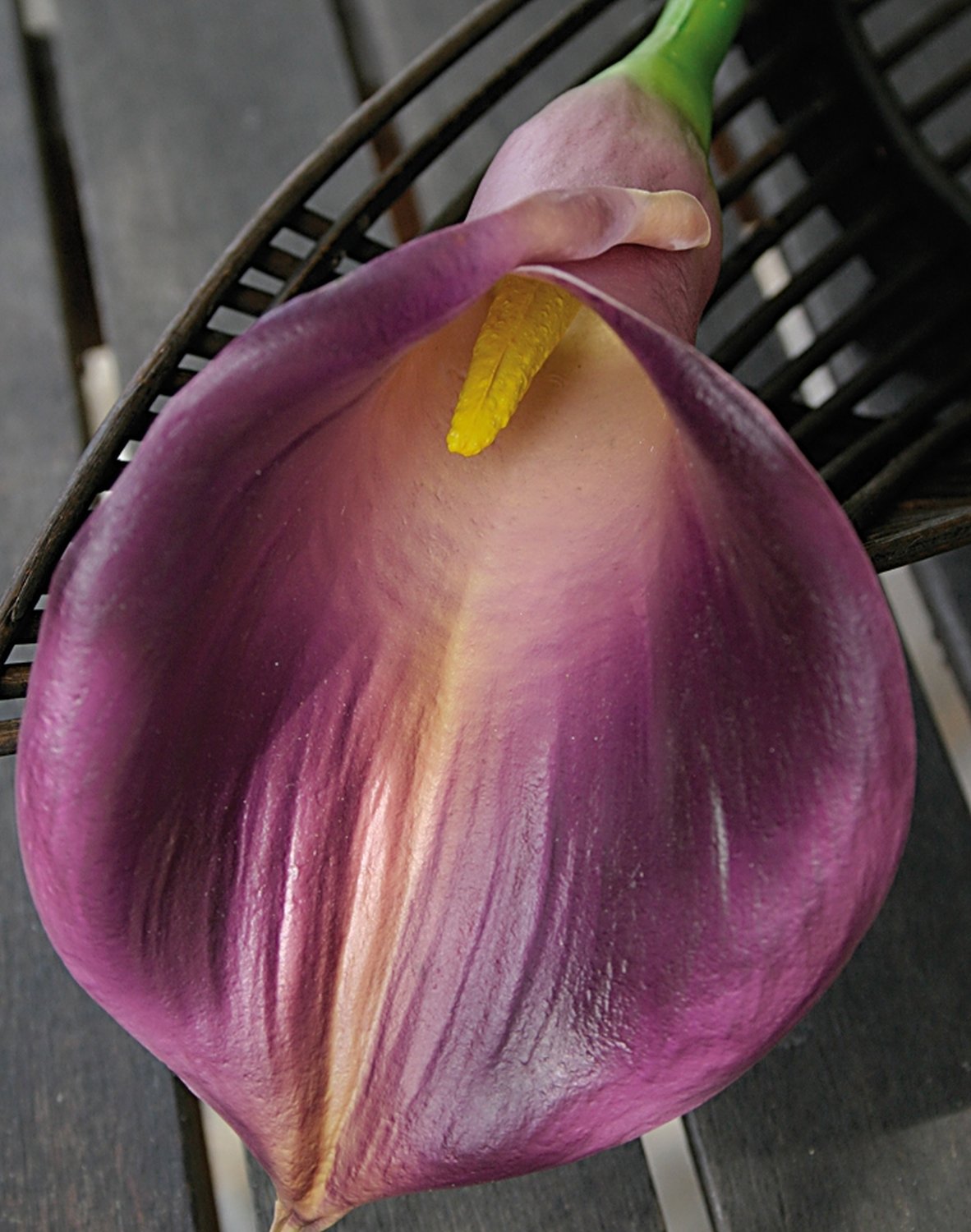 Calla artificiale, 71 cm, Real Touch Soft, viola