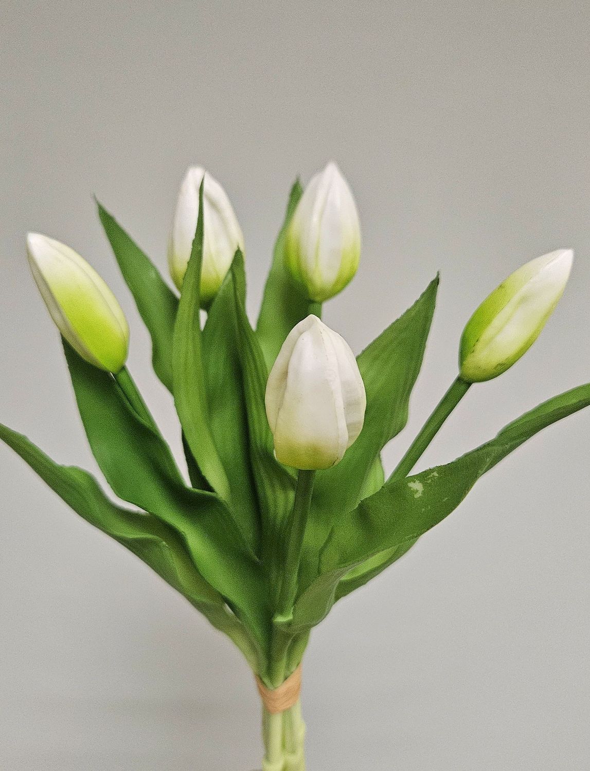 Mazzo di tulipani artificiali, 5 boccioli, 32 cm, bianco crema