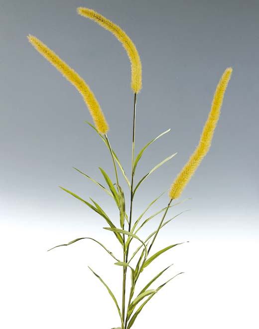 Artificial Chinese fountain grass, 180 cm, beige-green