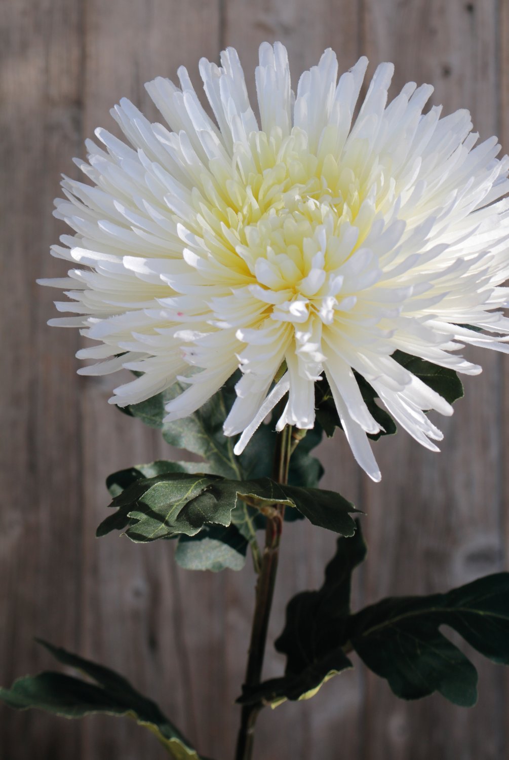 Künstliche Chrysantheme, 88 cm, creme-weiß