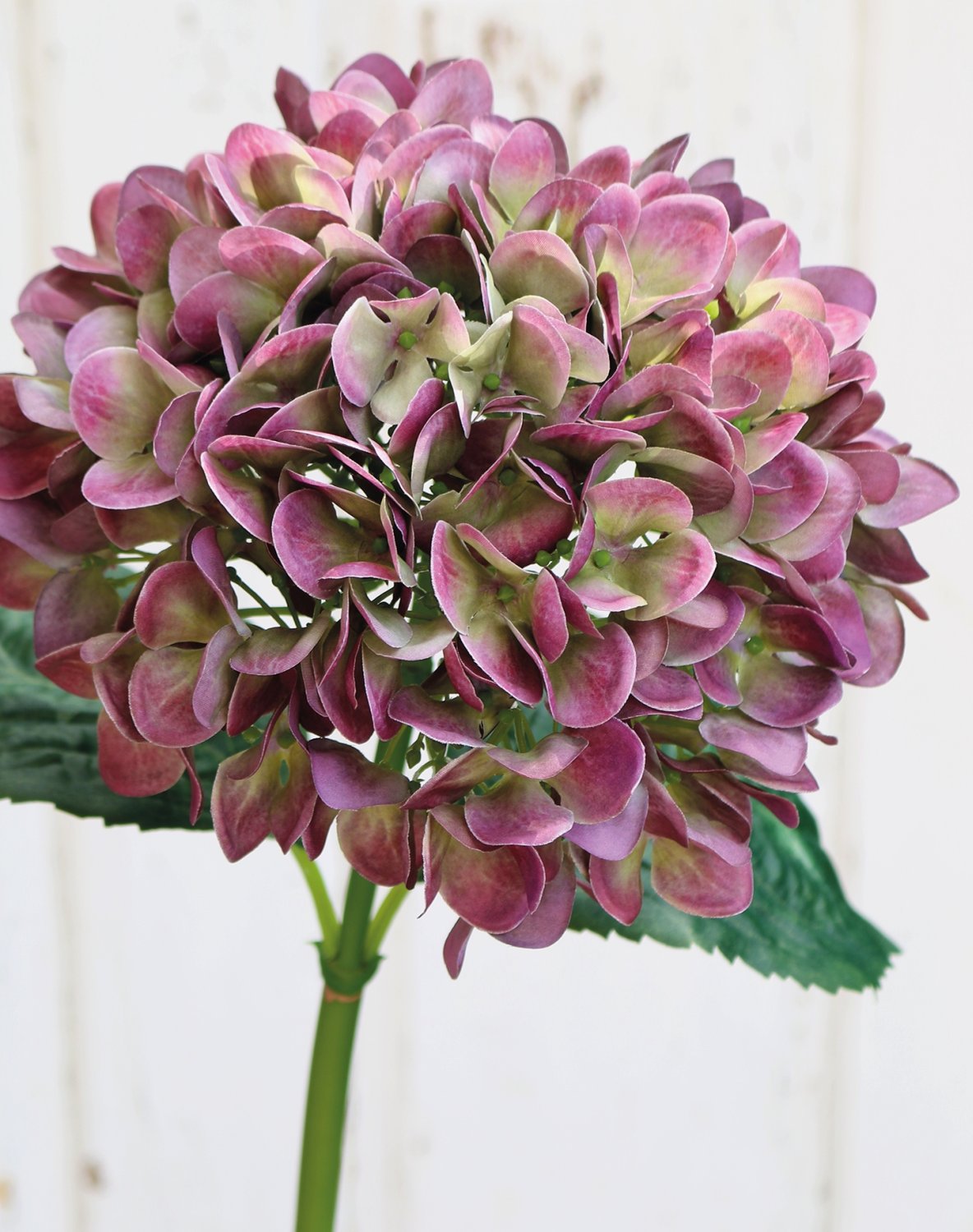 Plastic hydrangea, 65 cm, violet-green