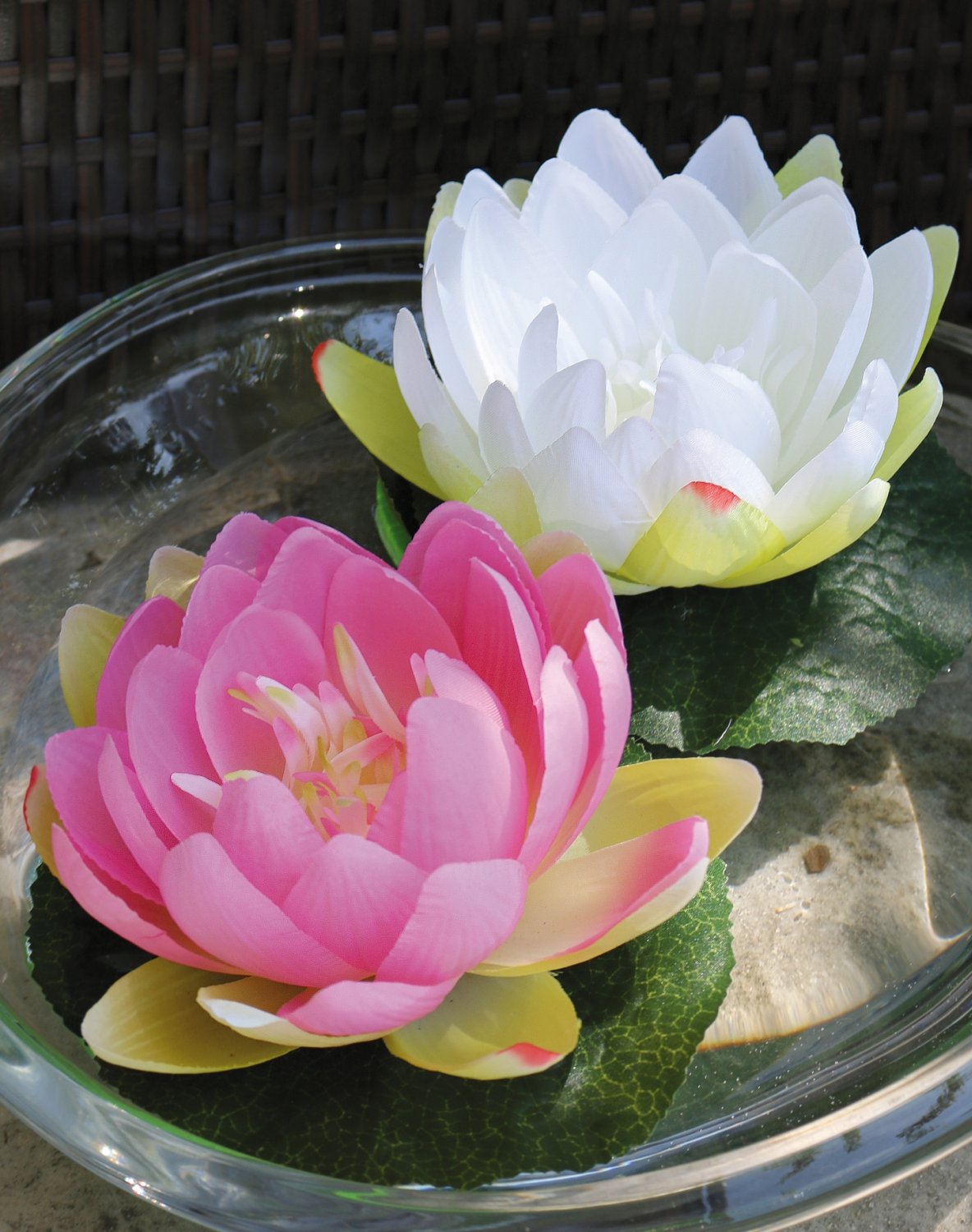 Silk water lily, floating, Ø 15 cm, beige-white