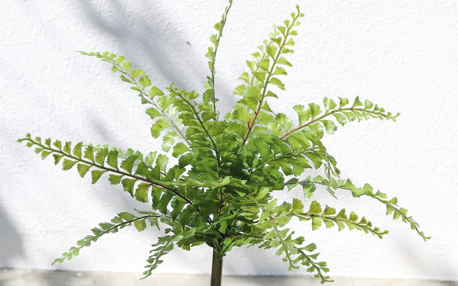 Imitation fern bush, 36 cm, green