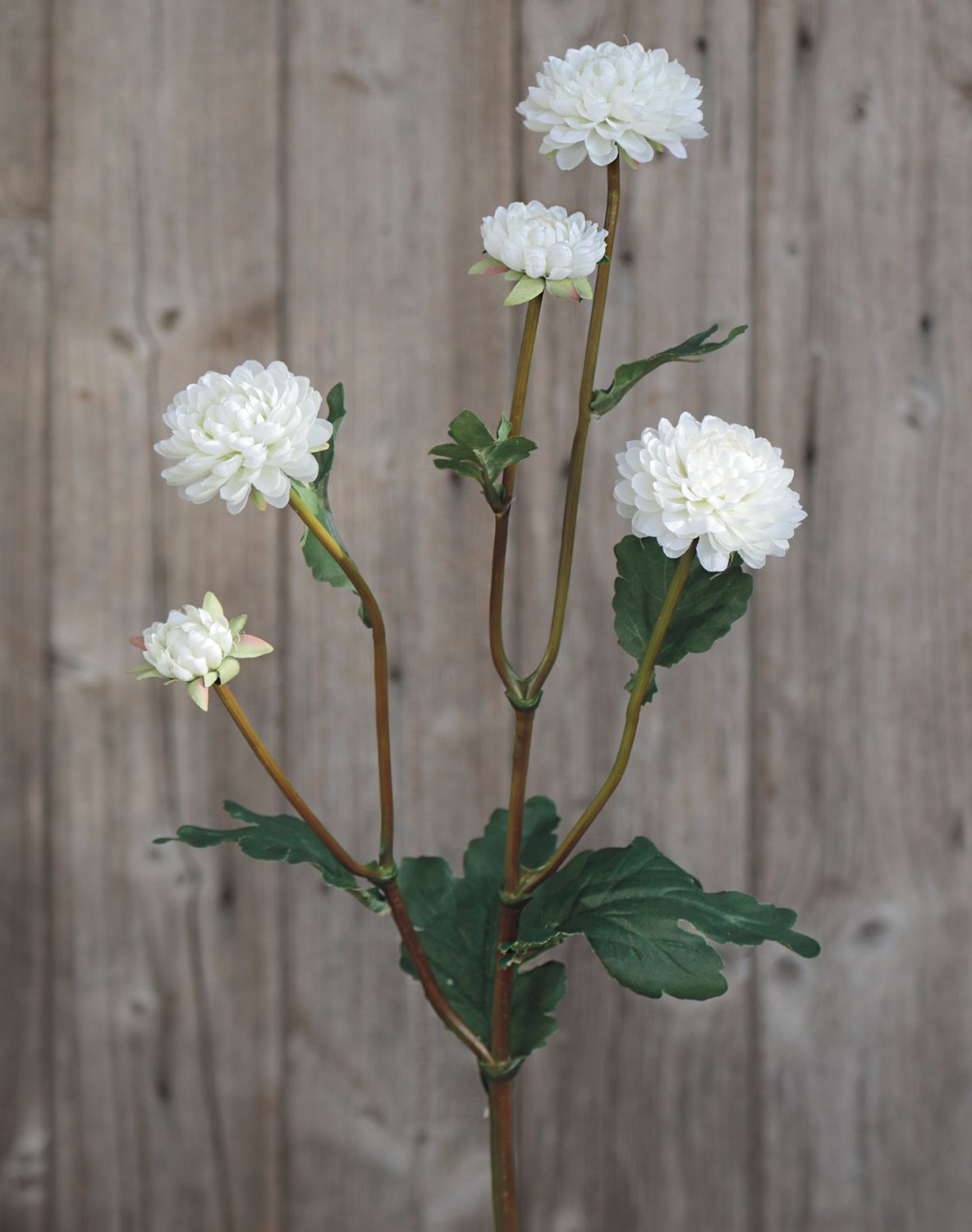 Künstliche Chrysantheme, 5-fach, 68 cm, creme-weiß