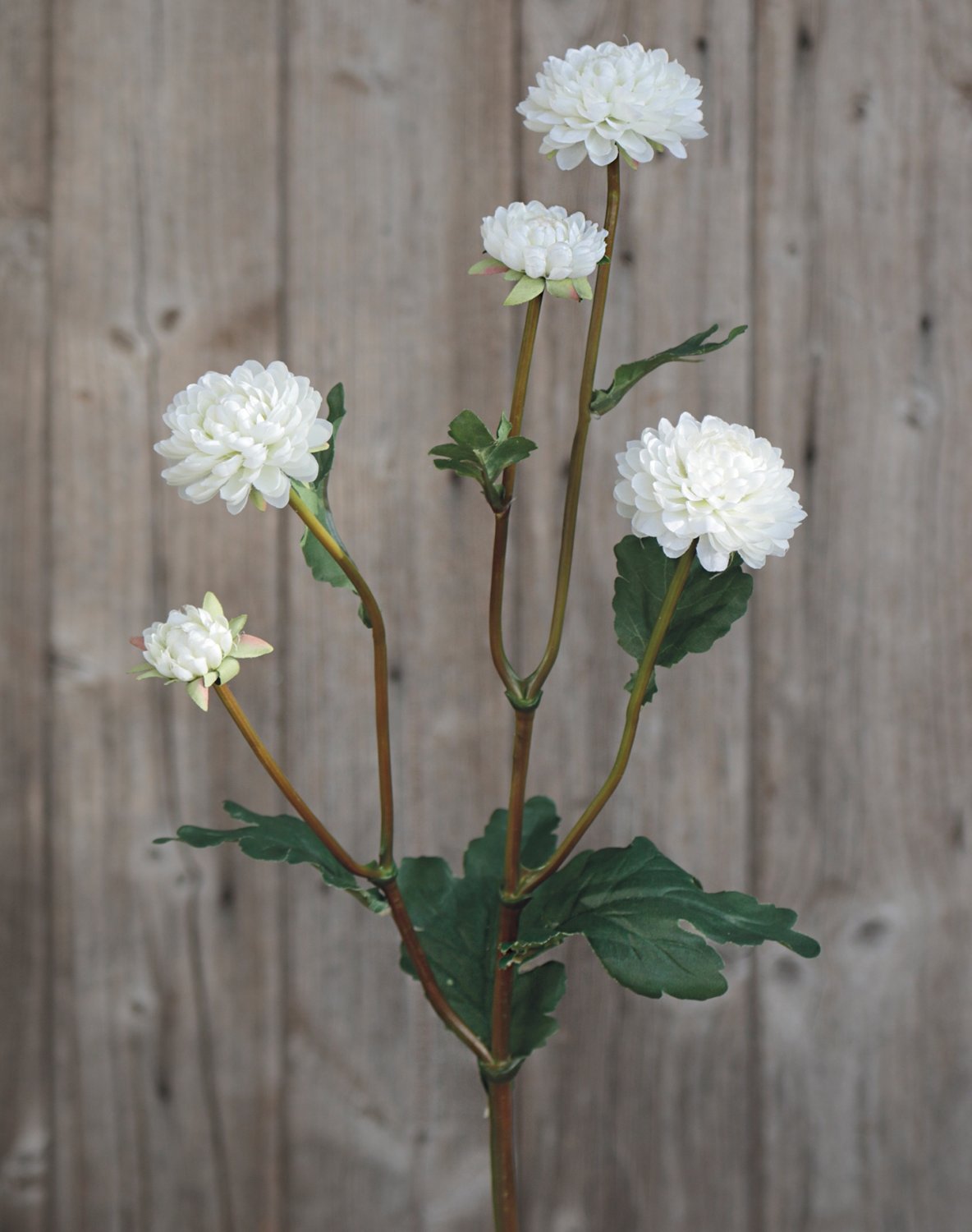 Faux Chrysanthemum, 5-flowers, 68 cm, beige-white