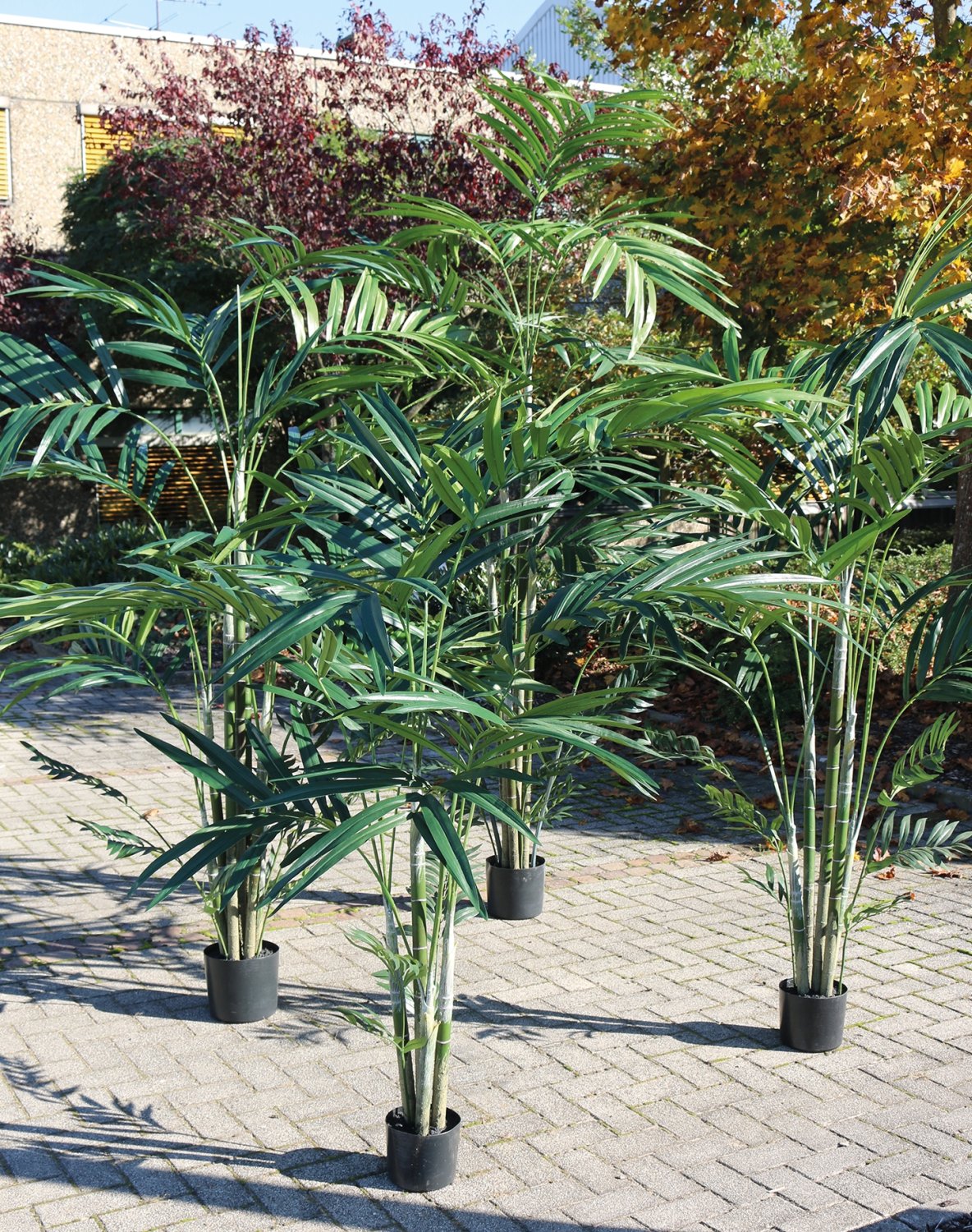 Künstliche Kentia-Palme, getopft, 210 cm, grün